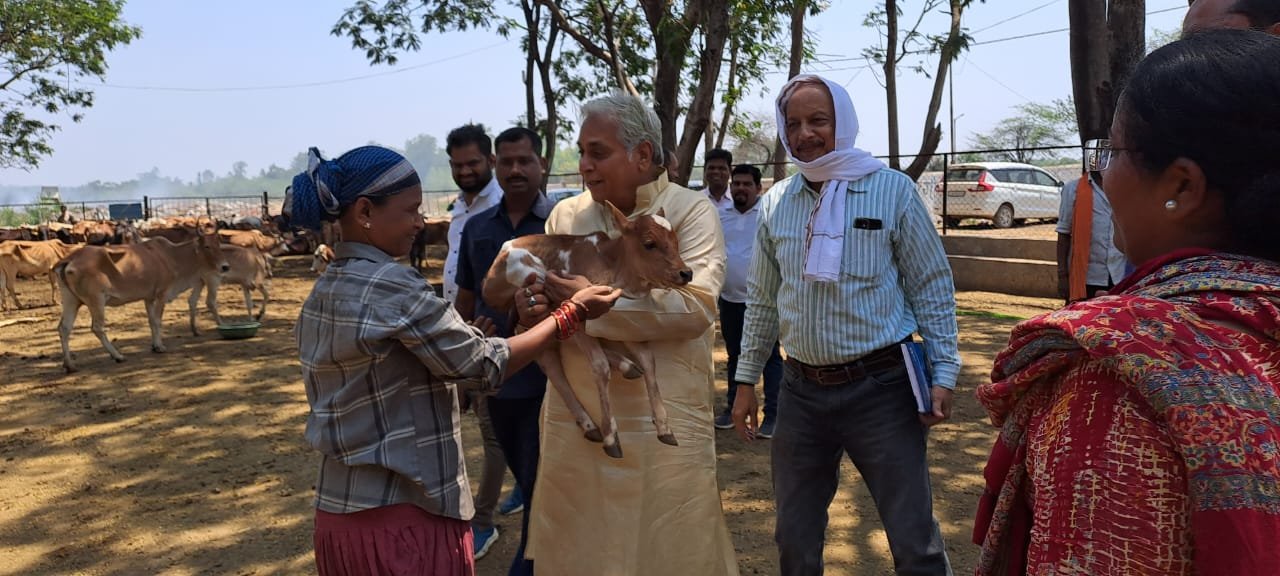 135 लाख से पुलगांव गौठान में गौवंश के सरंक्षण का कार्य शासन एवं सामाजिक सहयोग से आत्मनिर्भर हो रहे है गौठान : वोरा