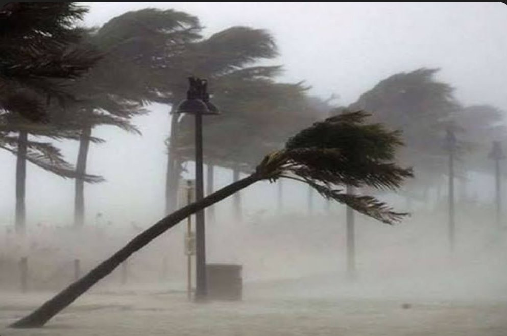 1 जुलाई से अगले चार दिन फिर बारिश का अलर्ट, छग में फिर बना सिस्टम