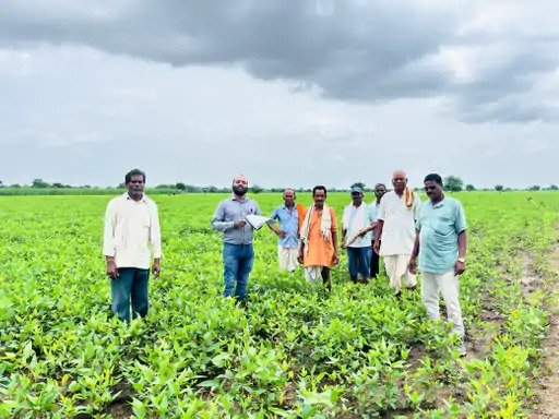 कवर्धा में फसल का सर्वे शुरू, 30 सितंबर तक काम पूरा करने निर्देश, 1 अक्टूबर को जारी होगी रिपोर्ट