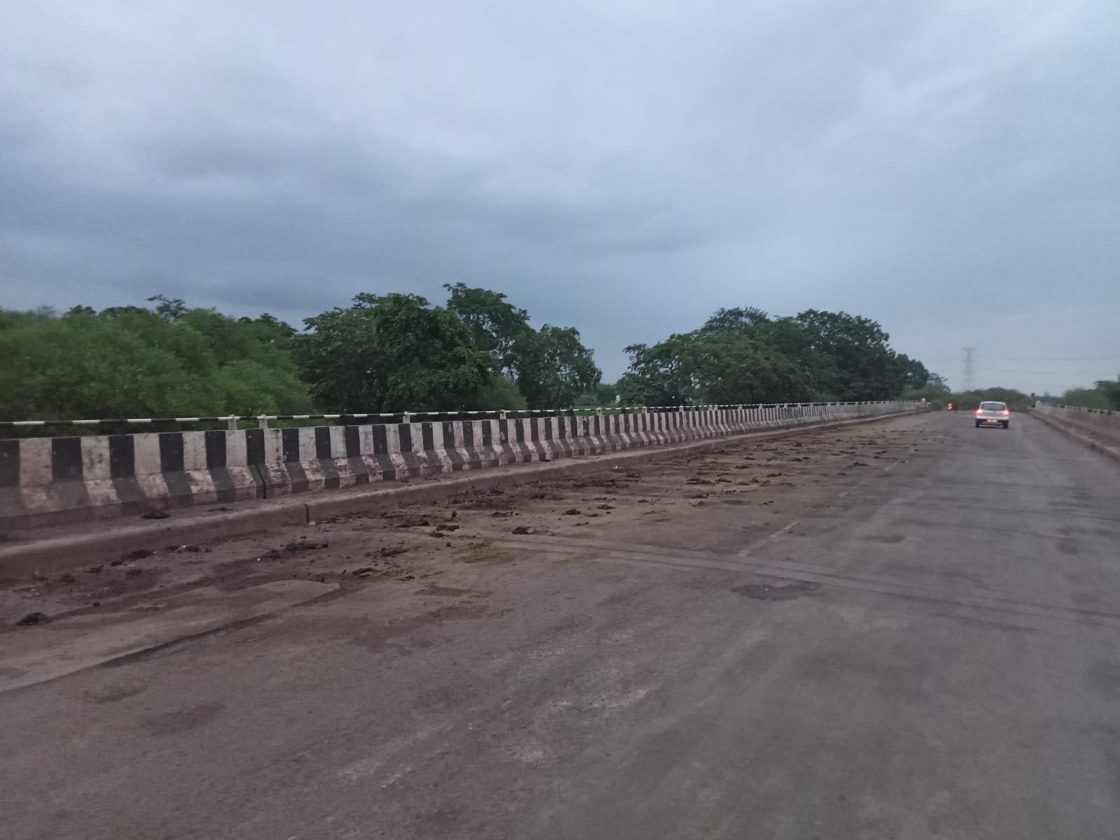 सरकार का गुड़-गोबर… दिखावे का स्वच्छता ही सेवा-2024 योजना, भेरनी-हड़गांव पुल पर हर तरफ गोबर ही गोबर