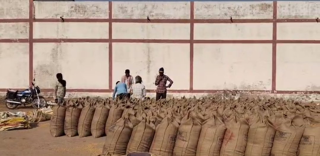 बेमेतरा के कई केंद्रों में धान खरीदी बंद, बफर लिमिट से औसतन 3 गुना ज्यादा धान जाम, अब तक 129 केंद्रों में 73663 किसान बेच चुके 3.73 लाख मीट्रिक टन धान