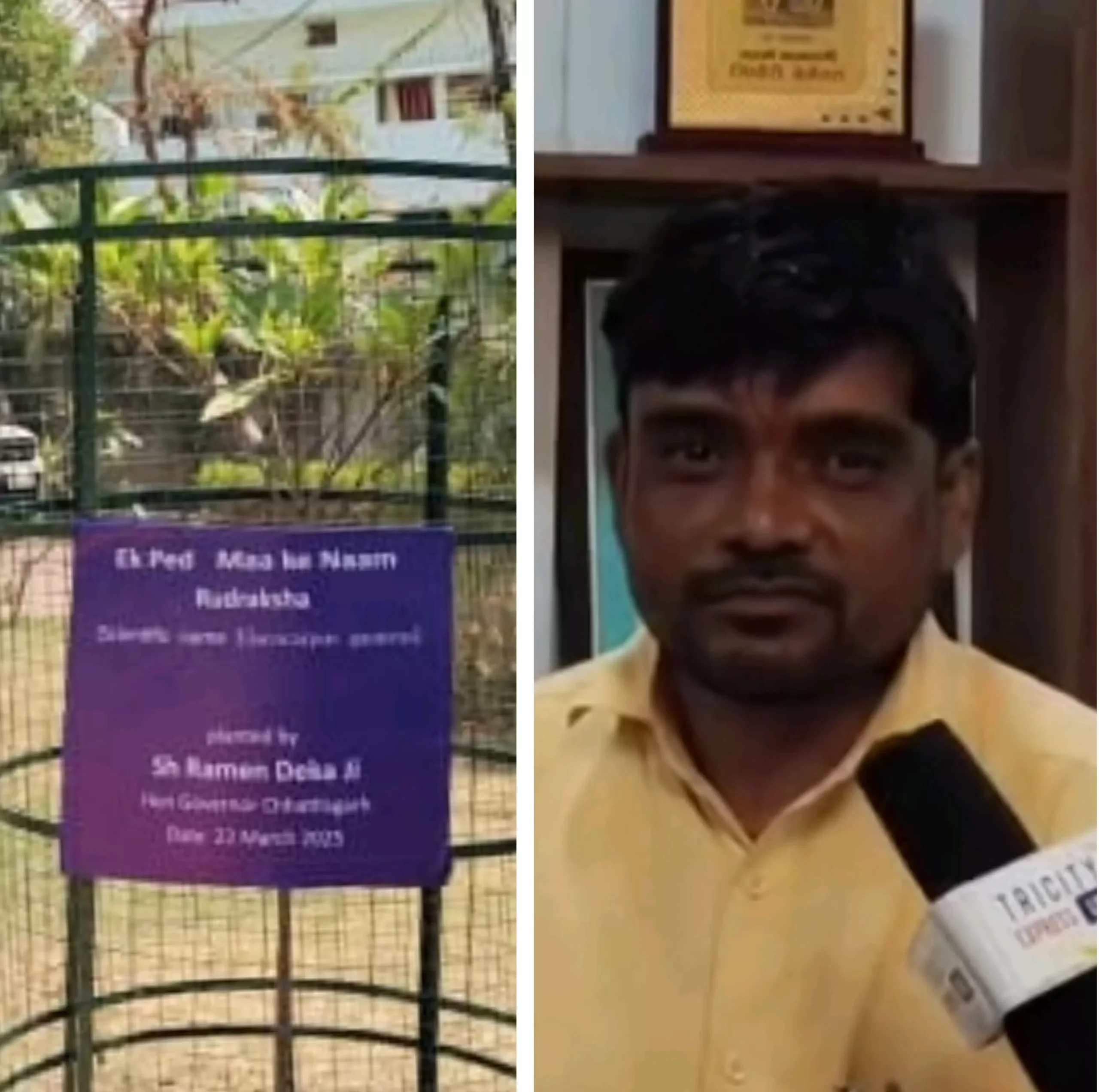 एक पेड़ मां के नाम अभियान में रूप पौधे, सहेजने लिया संकल्प, पालिका अध्यक्ष विजय सिन्हा ने की पहल