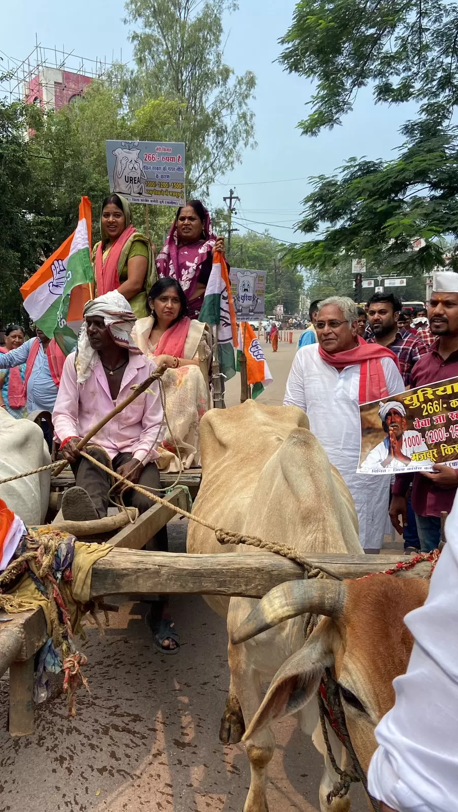 डीएपी-यूरिया की भारी किल्लत पर कांग्रेस का गाड़ा बैला आंदोलन —भाजपा सरकार पर बरसे अरुण वोरा, संकट में धान का कटोरा, बेहाल हैं किसान