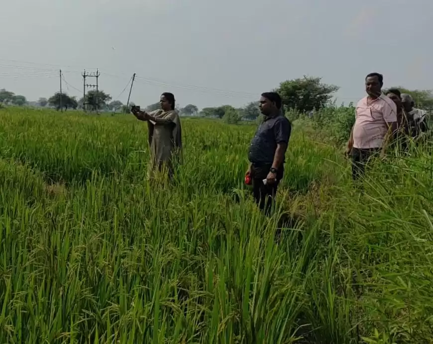 जिले के ग्रामों में पीवी ऐप के माध्यम से गिरदावरी एवं डीसीएस सत्यापन कार्य प्रगति पर
