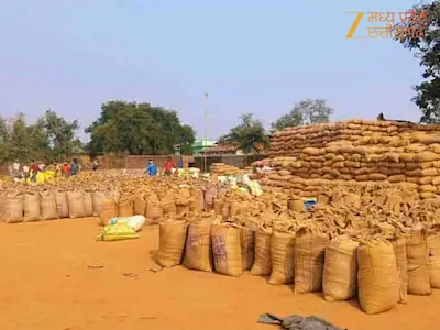 किसान घर बैठे ही टोकन ले सकेंगे धान बेचने के लिए, कलेक्टर ने की प्रभारी समिति प्रबंधकों की नियुक्ति की