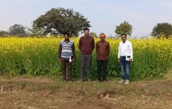 बेमेतरा जिला बना दलहन–तिलहन क्षेत्र विस्तार का आदर्श मॉडल