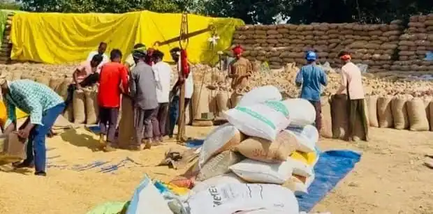 समर्थन मूल्य पर धान खरीदी हेतु किसानों को मिली राहत, दो दिन की अवधि बढ़ी