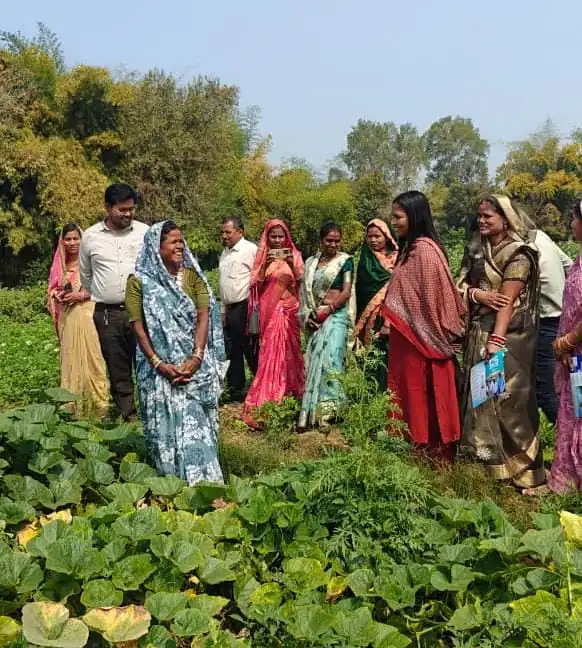 सीईओ जिला पंचायत ने किया एकीकृत फार्मिंग क्लस्टर का निरीक्षण, महिलाओं की आय बढ़ाने पर दिया जोर