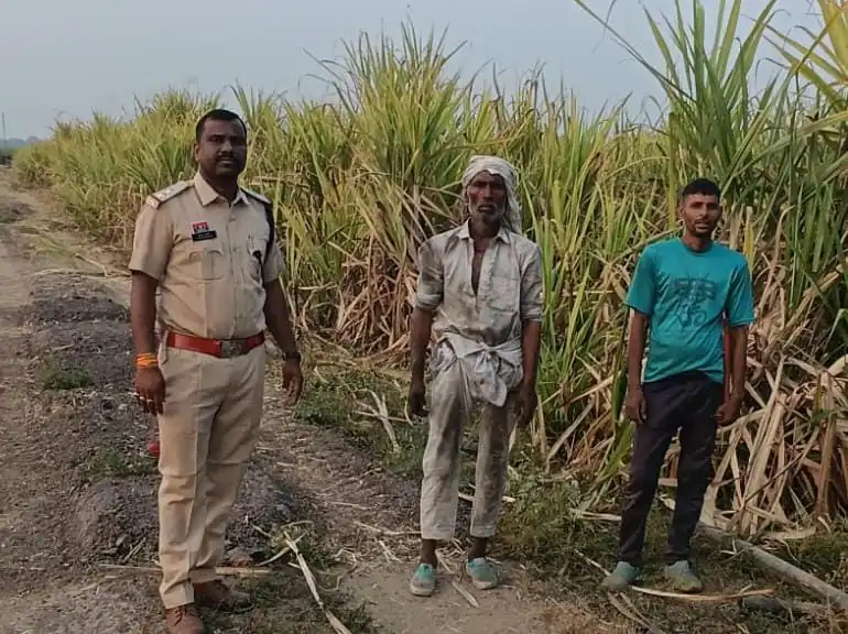 ईट भठ्ठों में ठेकेदार, बाडी एवं फैक्ट्री और बाहर से आए मजदुरो, होटलों, ढाबों, लॉज, घुमंतु, डेरा एवं मुसाफिर लोगो की गई चेकिंग 