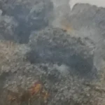 देवकर बस्ती में रखी पराली में आग, सब कुछ जलकर खाक