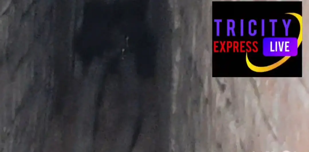 परपोड़ा में ऊदबिलाव, ग्रामीणों में दहशत, अब तक रेस्क्यू नहीं