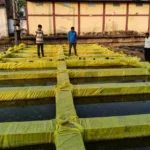 बेमेतरा में नील-हरित शैवाल उत्पादन को बढ़ावा, टिकाऊ कृषि की दिशा में बड़ा कदम