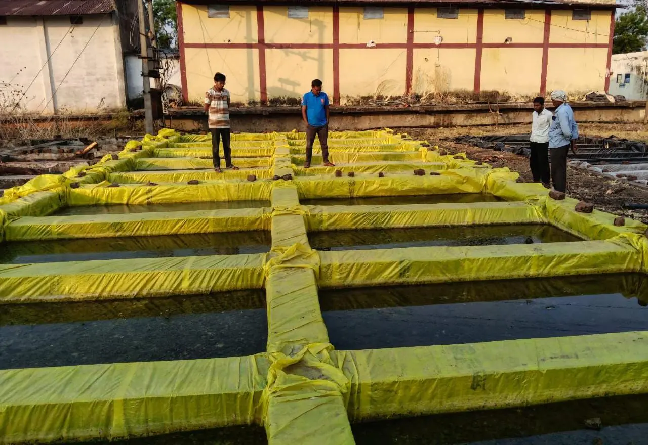 बेमेतरा में नील-हरित शैवाल उत्पादन को बढ़ावा, टिकाऊ कृषि की दिशा में बड़ा कदम
