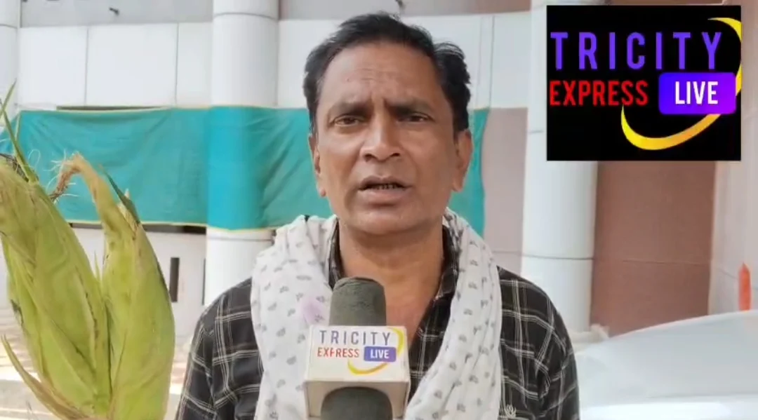 मक्के का घटिया बीज थमाया, फसल हुई बर्बाद तो किसान पहुंचे कलेक्टोरेट