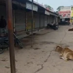 नवागढ़ में महीने के पहले मंगलवार बंद रहेंगी दुकानें, व्यापारियों ने लिया निर्णय