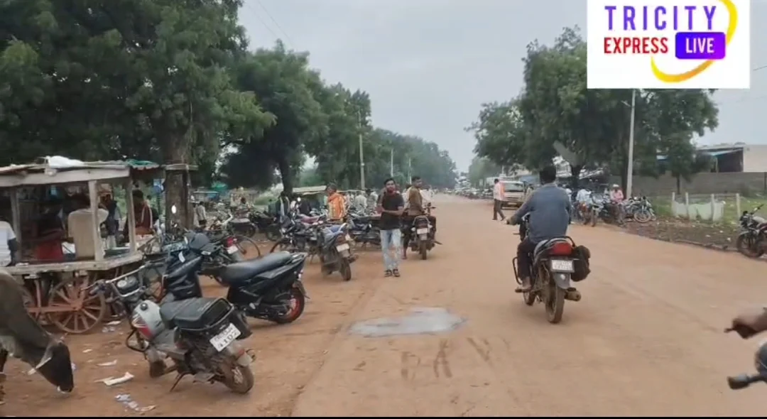 कोदवा से साजा मार्ग की स्थिति, चारों ओर स्वच्छता का अभाव, गंदगी का आलम