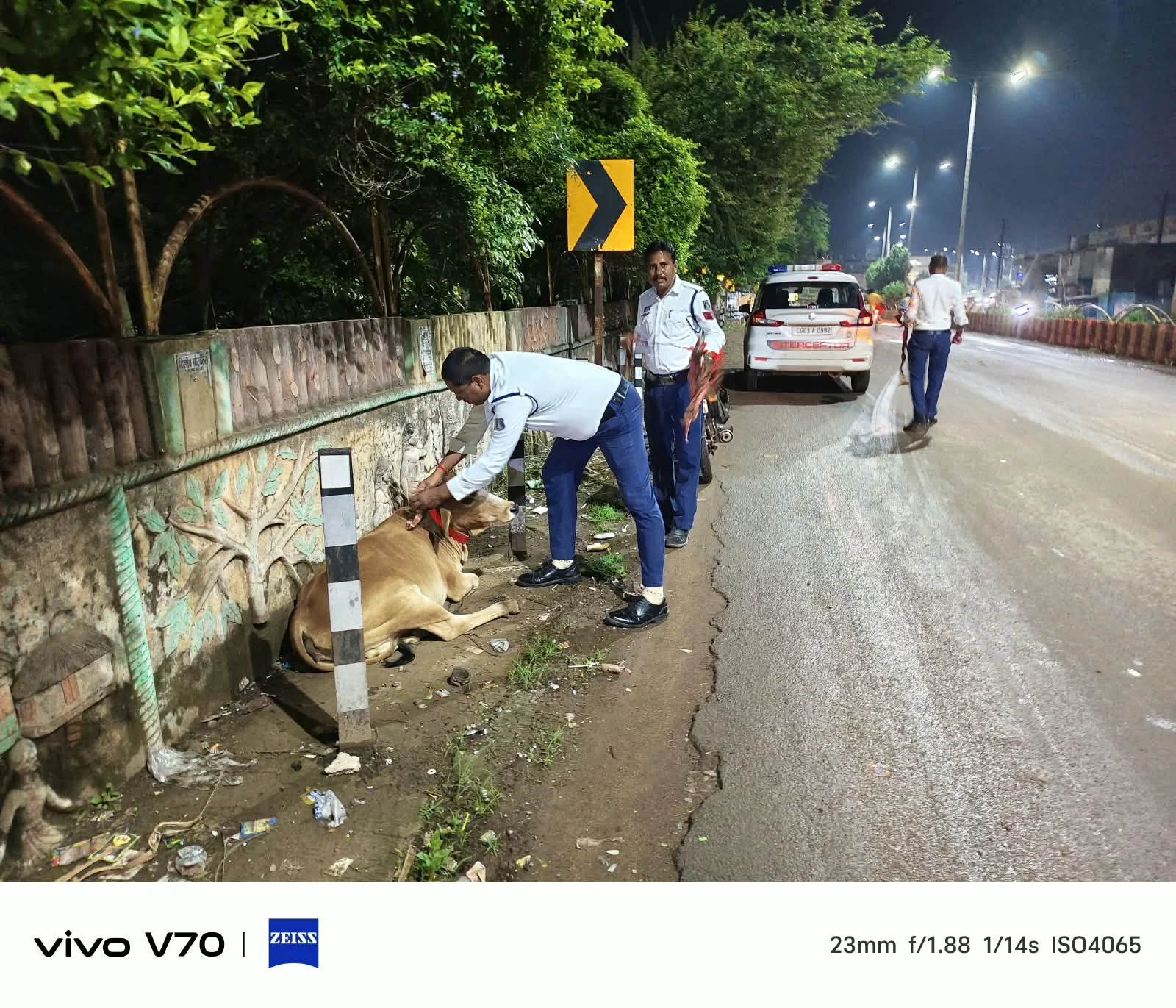 यातायात बेमेतरा पुलिस टीम ने सड़क पर बैठे एवं विचरण करने वाले गौवंशों के गले में बांधी रेडियम पट्टी