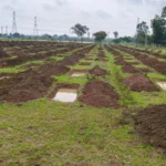 मोर गांव, मोर पानी।महाभियान का असर: बेमेतरा जिले के तीन विकासखंड क्रिटिकल से सेमी-क्रिटिकल जोन में पहुंचे