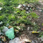 लकवा पॉइंट पर गंदगी से मॉर्निंग वॉक करने वाले लोग परेशान, शराब की खाली बोतलें, डिस्पोजल गिलास और खाने-पीने का कचरा बना परेशानी का कारण