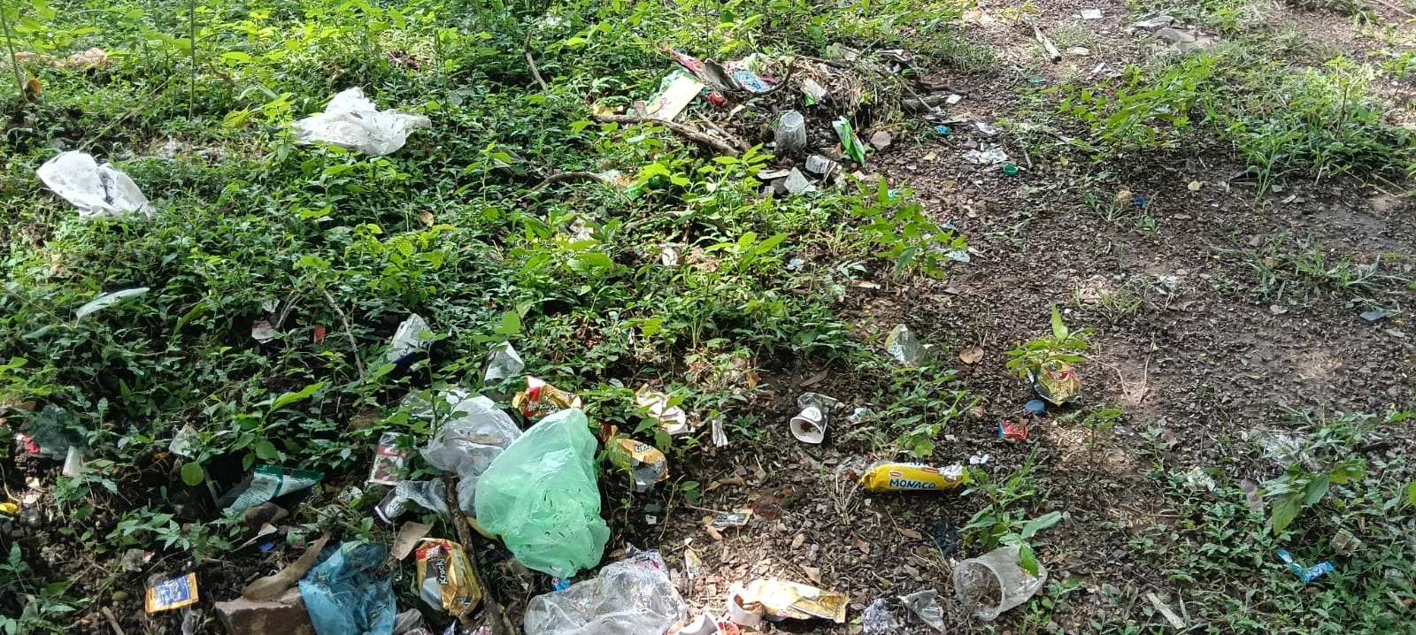 लकवा पॉइंट पर गंदगी से मॉर्निंग वॉक करने वाले लोग परेशान, शराब की खाली बोतलें, डिस्पोजल गिलास और खाने-पीने का कचरा बना परेशानी का कारण