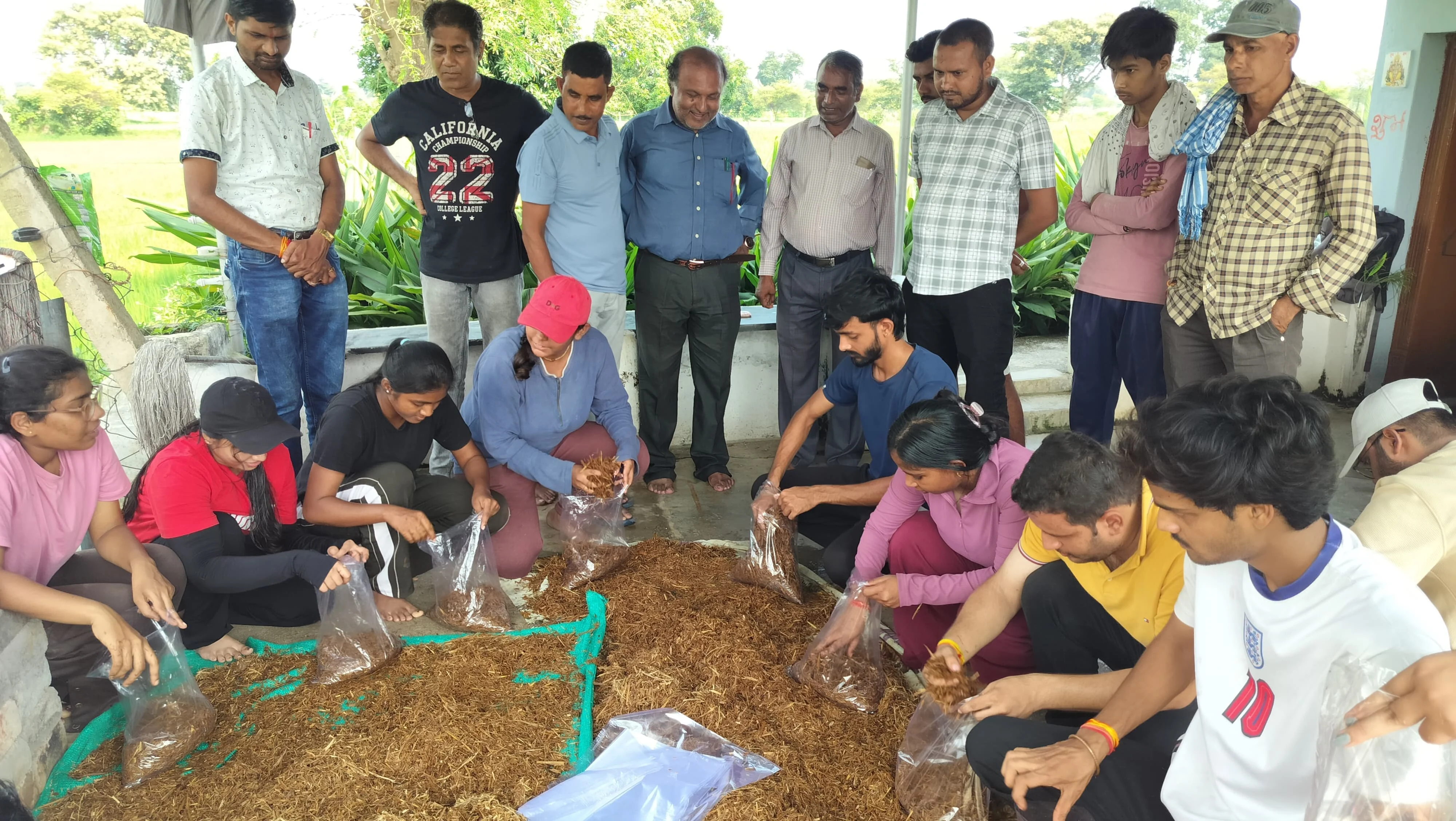 ग्राम कोकड़ी में छत्तीसगढ़ कृषि महाविद्यालय के छात्रों ने किसानों को सिखाई ओयस्टर मशरूम उत्पादन की तकनीक