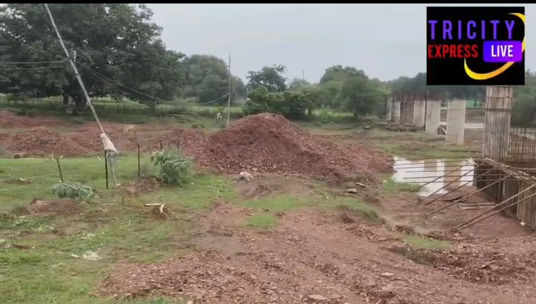 लोक निर्माण विभाग, छत्तीसगढ़ शासन द्वारा तेंदुआ नयापारा मार्ग में डॉटू नाला पर उच्च स्तरीय पुलमय पहुंच मार्ग निर्माण कार्य चल रहा