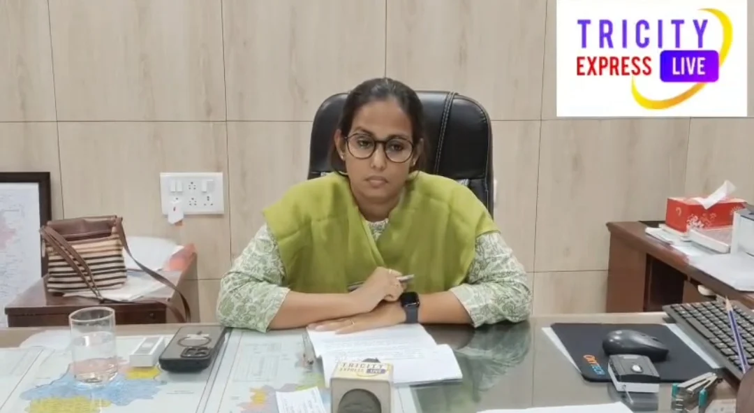 25 एकड़ में रोपे गए 8 हजार पौधे, नियमित होगा रखरखाव