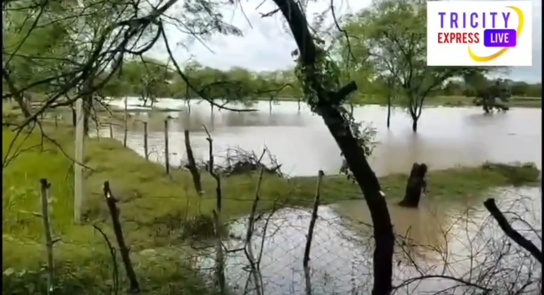 भालेसर ईंटभट्ठा में फंसे मजदूरों को सुरक्षित निकाला, बगलेड़ी में 800 नागरिकों को राशन वितरित