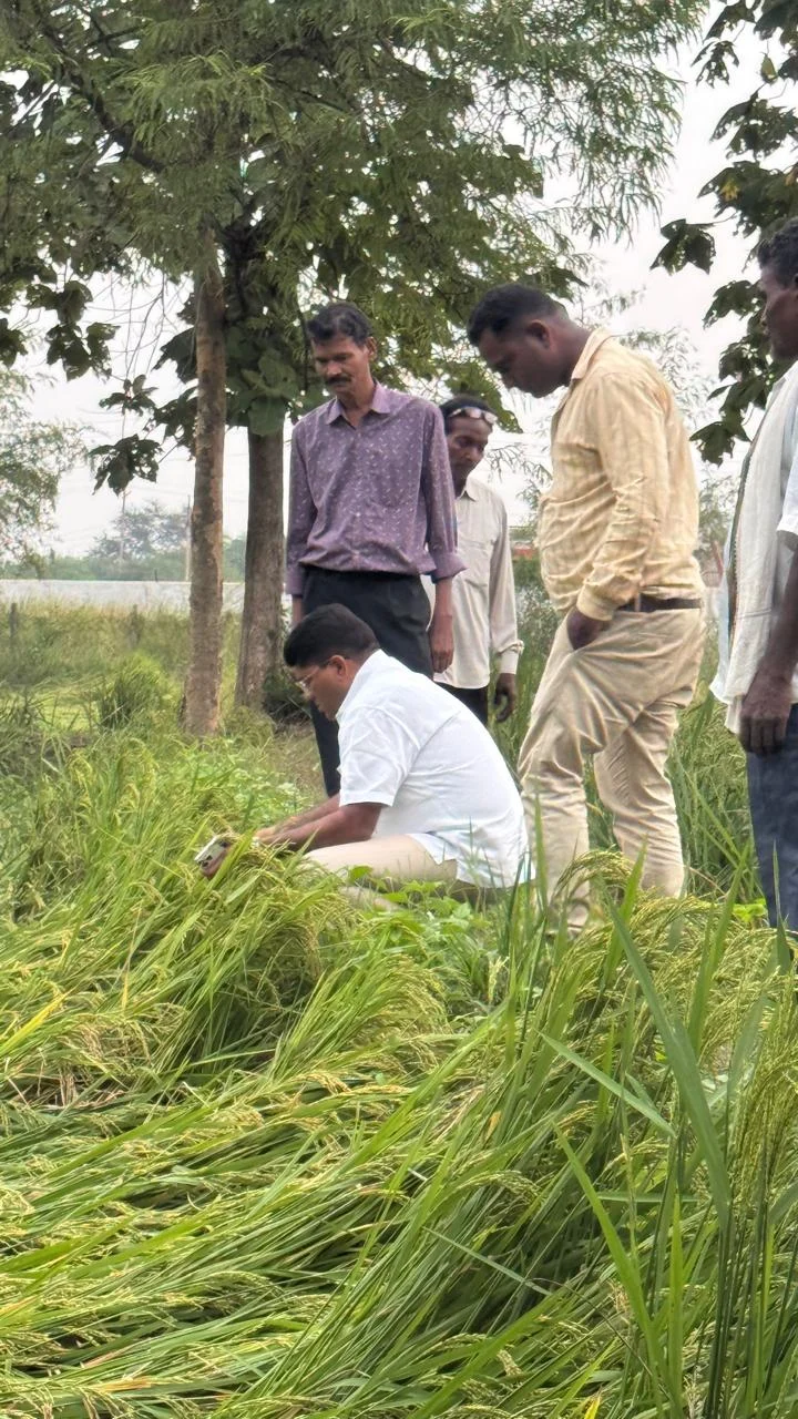 तूफान से फसल बर्बाद और पटवारी हड़ताल पर, भगवान भरोसे छत्तीसगढ़ का किसान: राकेश ठाकुर