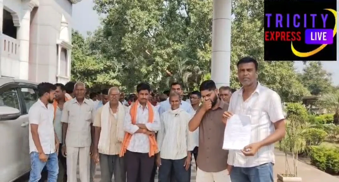  मही दही गांव में आवारा मवेशियों द्वारा धान की फसल को किया जा रहा चौपट, कार्रवाई की मांग करने पहुंचे ग्रामीण