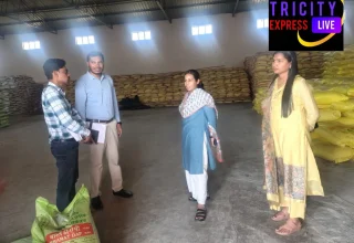 खरीफ सीजन की तैयारियों का कलेक्टर ने लिया जायजा, सेवा सहकारी समिति भरदा एवं मार्कफेड डबल लॉक केंद्र का किया औचक निरीक्षण