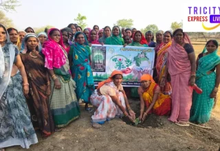 विश्व पर्यावरण दिवस पर जनपद पंचायत साजा की सभी ग्राम पंचायतों में वृहद वृक्षारोपण अभियान