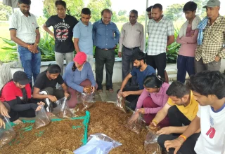 ग्राम कोकड़ी में छत्तीसगढ़ कृषि महाविद्यालय के छात्रों ने किसानों को सिखाई ओयस्टर मशरूम उत्पादन की तकनीक