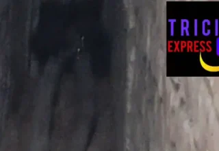 परपोड़ा में ऊदबिलाव, ग्रामीणों में दहशत, अब तक रेस्क्यू नहीं