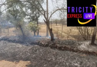 छत्तीसगढ़ में मौसम विभाग गर्मी को देखते हुए अलर्ट जारी