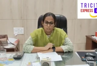 25 एकड़ में रोपे गए 8 हजार पौधे, नियमित होगा रखरखाव
